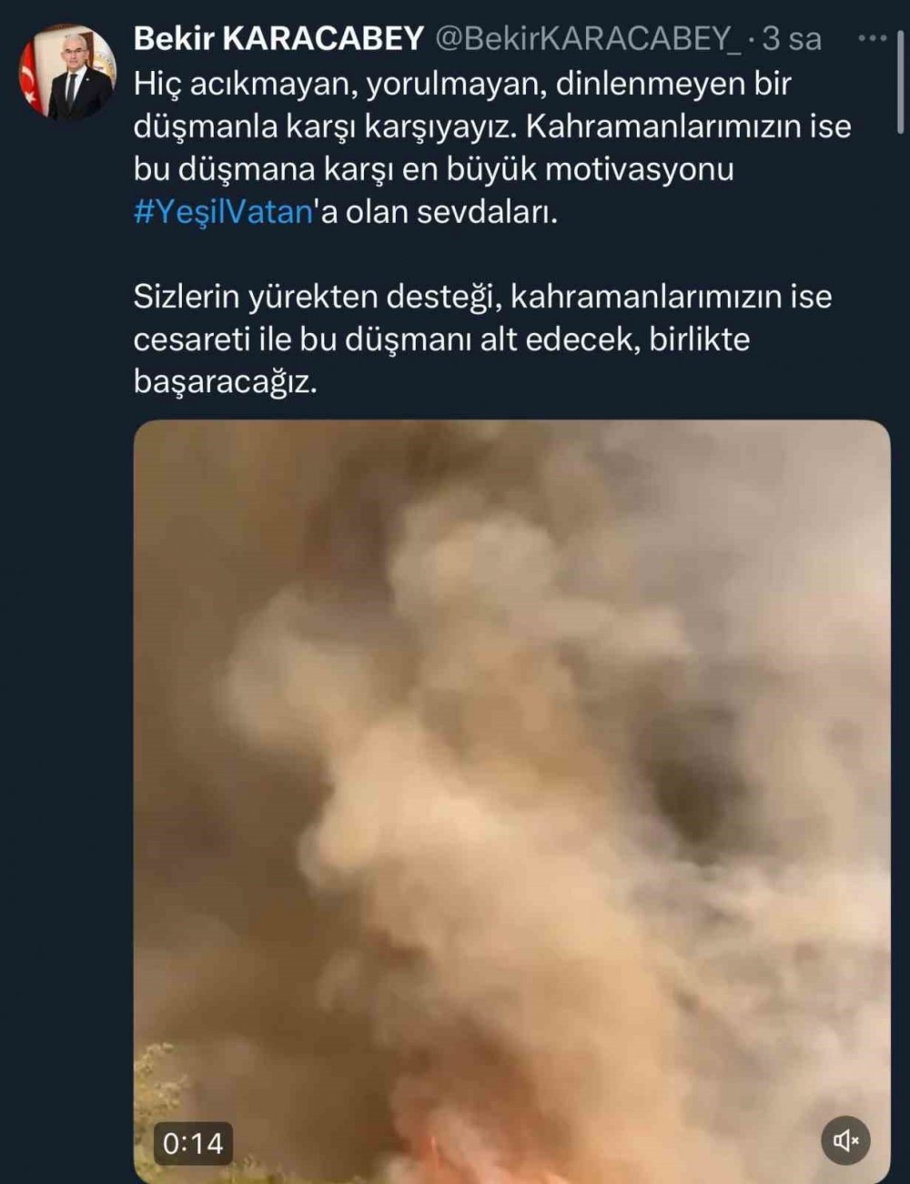 Orman Yangınının En Çarpıcı Görüntüsü: Alevler Adeta Hortum Oluşturdu