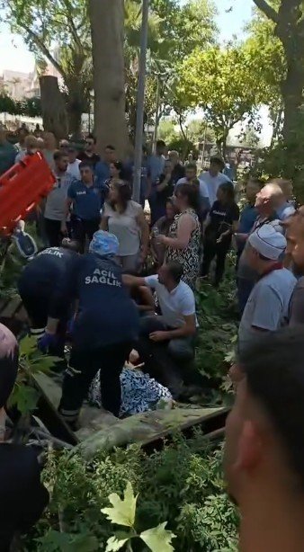 Üzerine Ağaç Dalı Düşen Genç Kız Hayatını Kaybetti