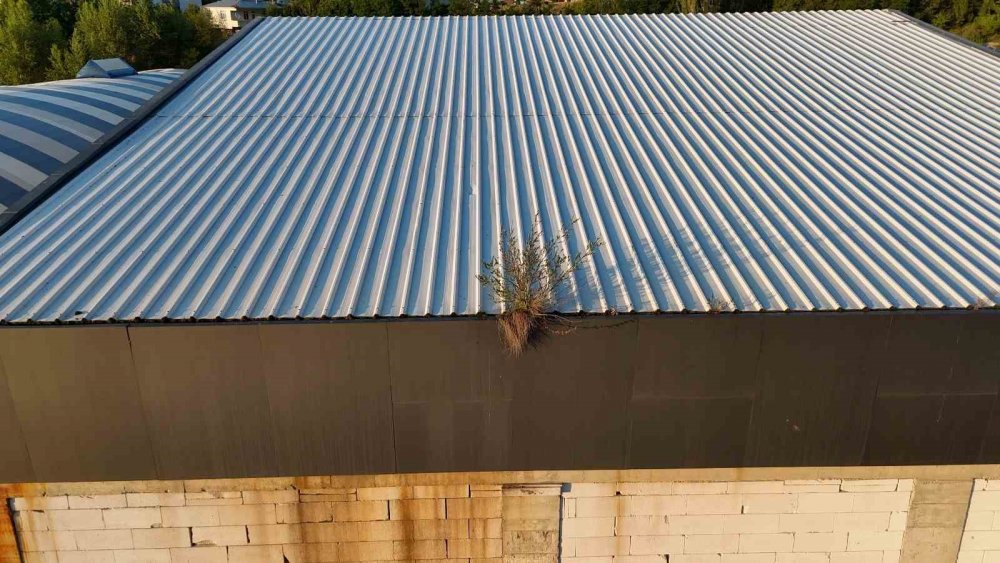 Mahkemelik Havuz Projesi Yarım Kaldı