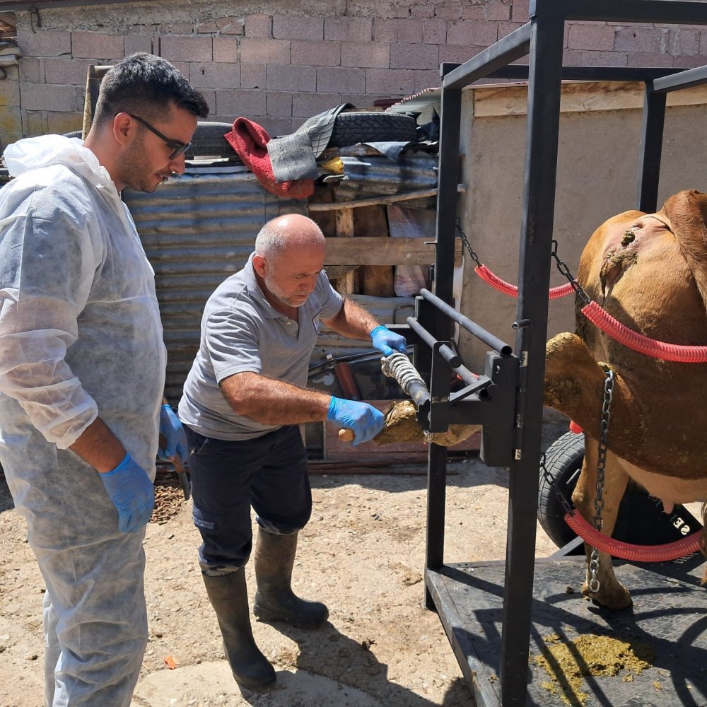 Aydıntepe’de Travay Projesi Kapsamında İlk Saha Uygulaması Yapıldı