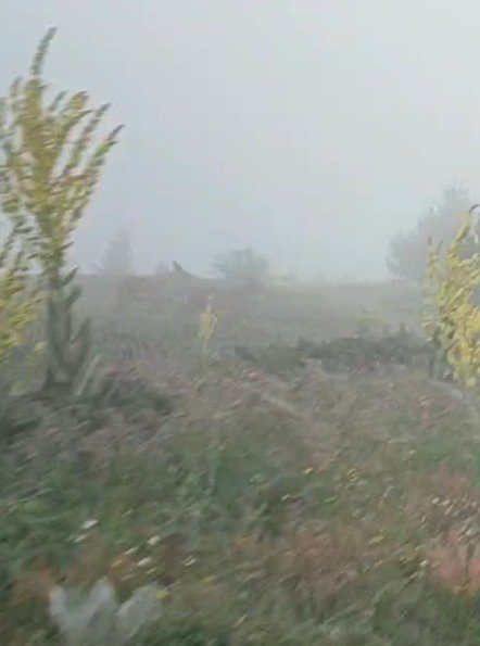 Kastamonu’da Yaban Hayvanları Renkli Görüntüler Oluşturdu