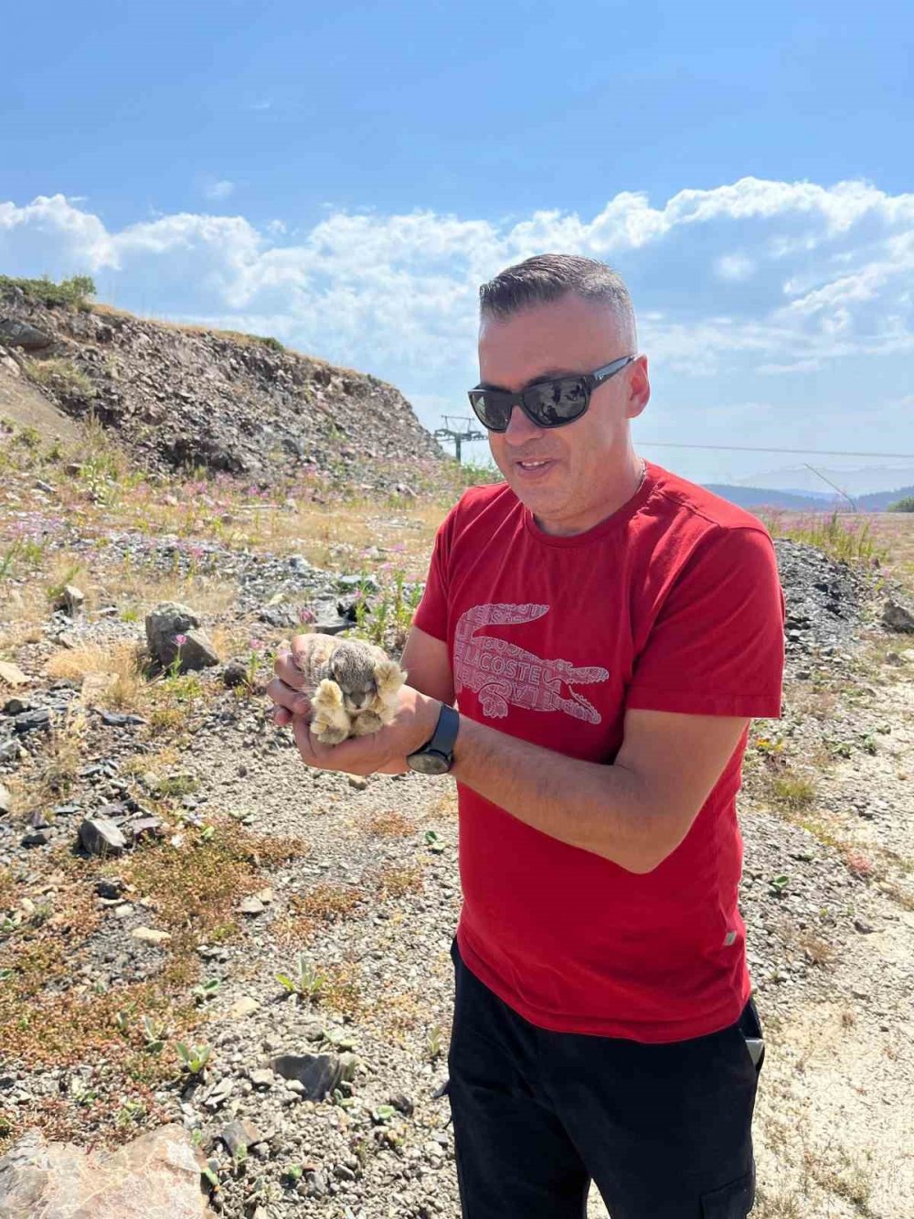 Kastamonu’da Yaban Hayvanları Renkli Görüntüler Oluşturdu