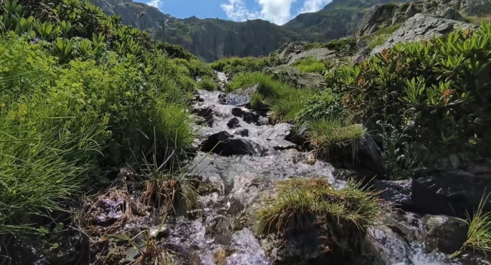 Sıcaklardan Kaçıp Yusufeli’nin Zirvelerinde Serinliyorlar