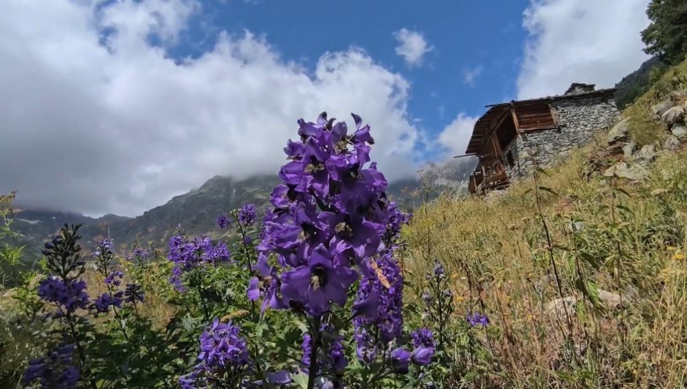 Sıcaklardan Kaçıp Yusufeli’nin Zirvelerinde Serinliyorlar