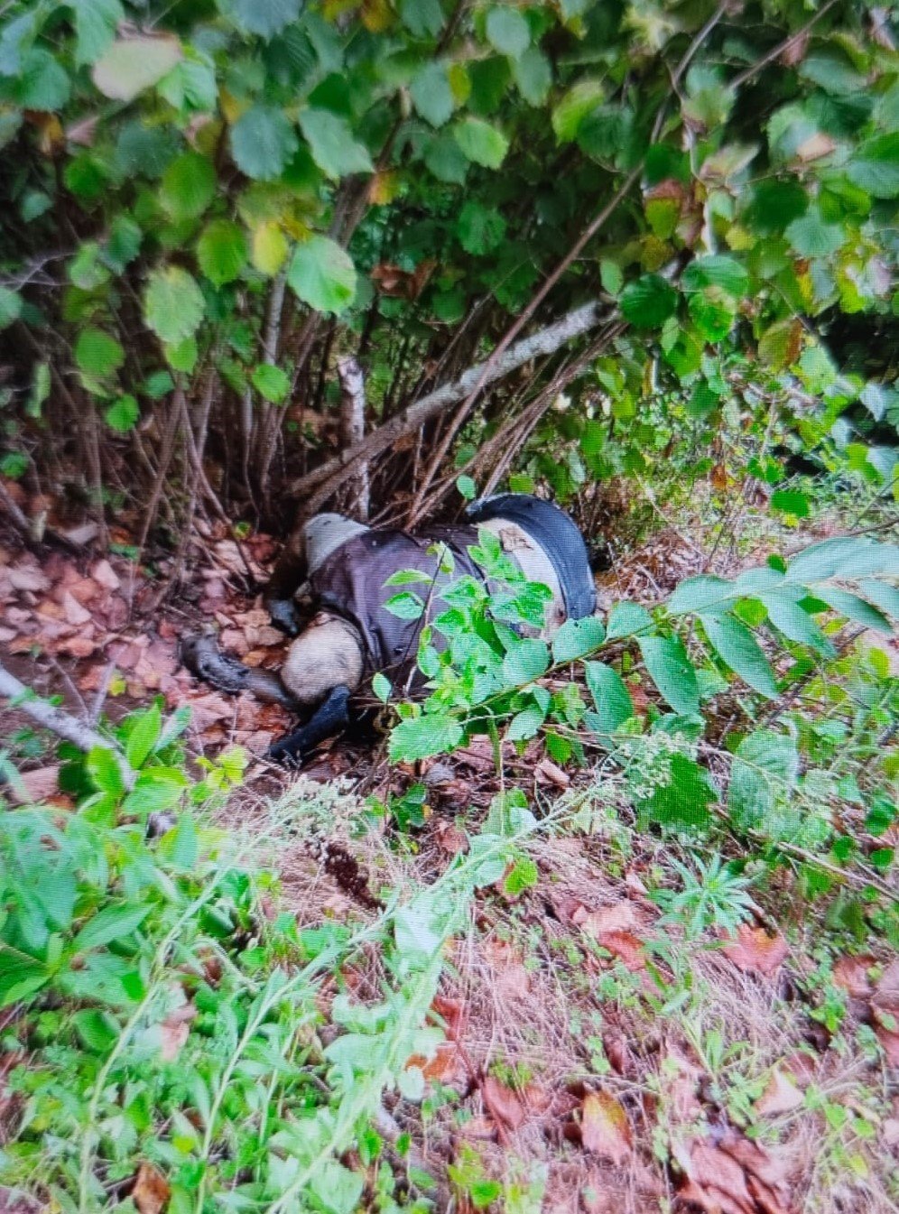 Trabzon’da 10 Gün Önce Kaybolan Şahsın Cansız Bedeni Bulundu