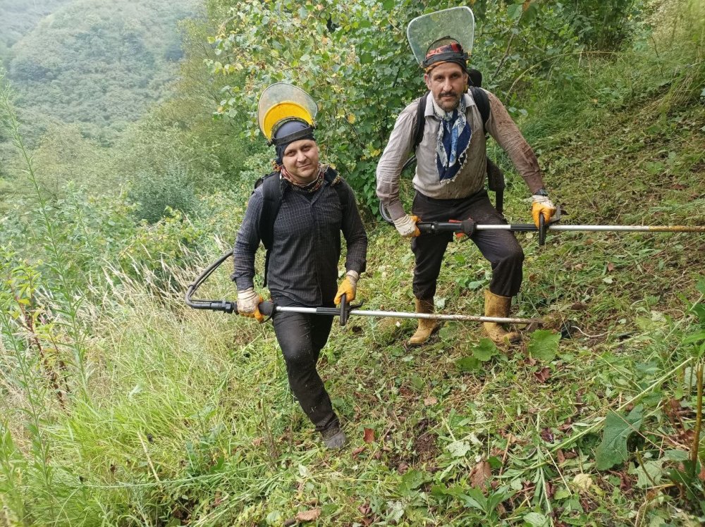 Fındıkta Hasat Öncesi En Zor İş: Yevmiyesi 6 Bin Lira