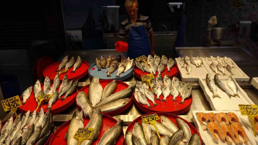 Balıkçıların Gözü Bu Sezon Hamside