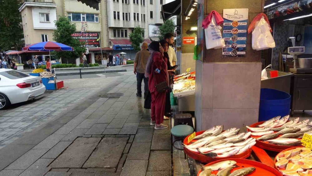 Balıkçıların Gözü Bu Sezon Hamside