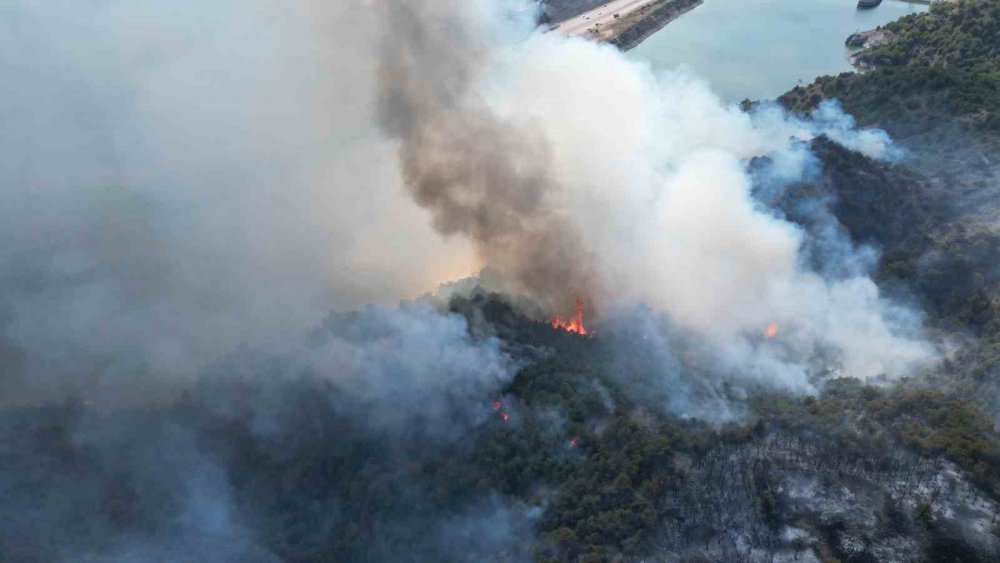 Erbaa’da Orman Yangını: 50 Hektarlık Alan Kül Oldu