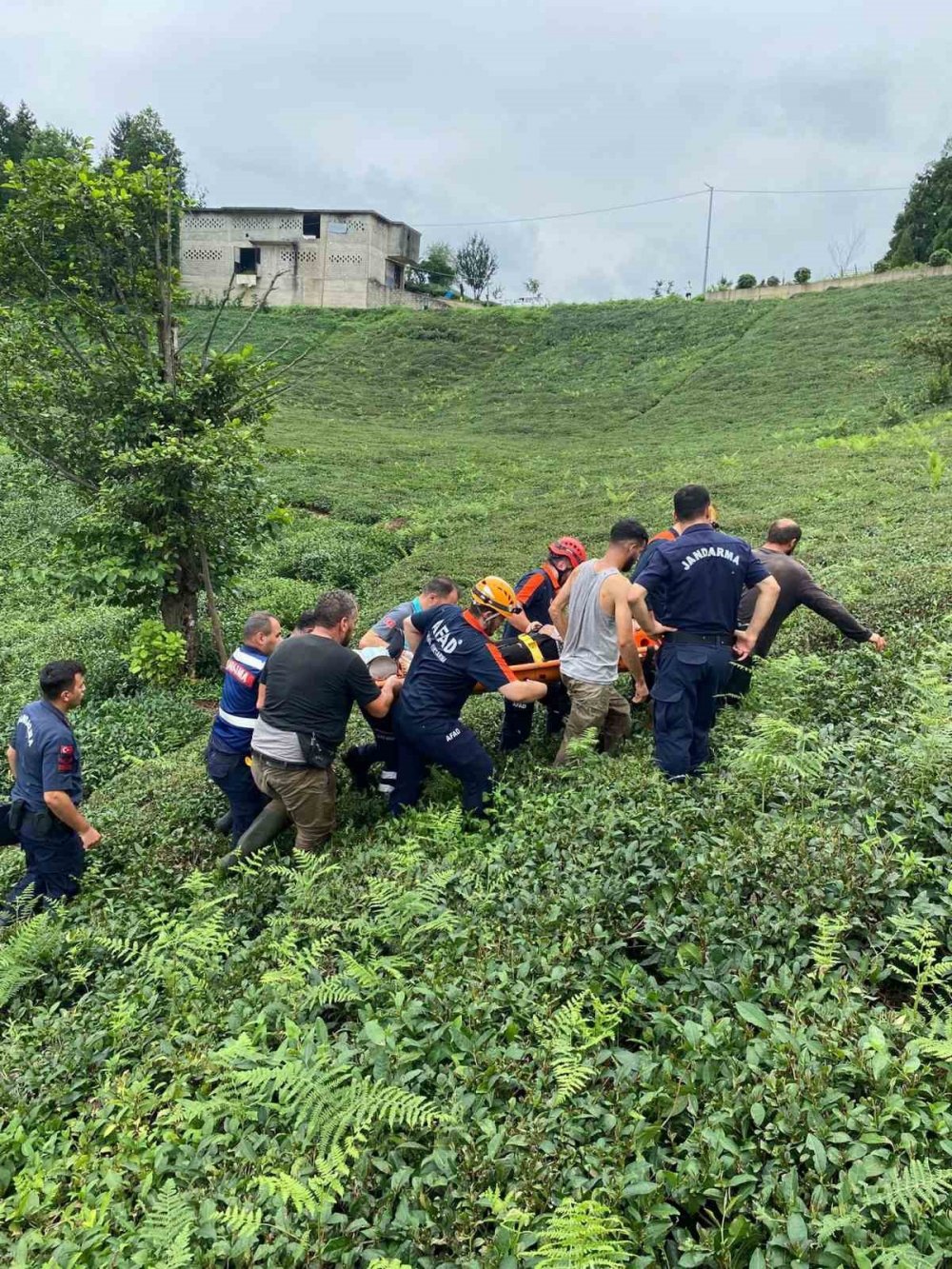Rize'de Üzerine İlkel Teleferik Parçası Düşen Kadın Yaralandı
