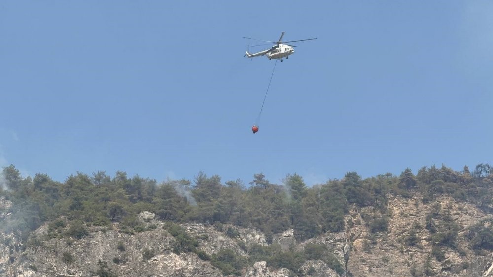 Orman Yangınında Alevler Yeniden Etkili Olmaya Başladı