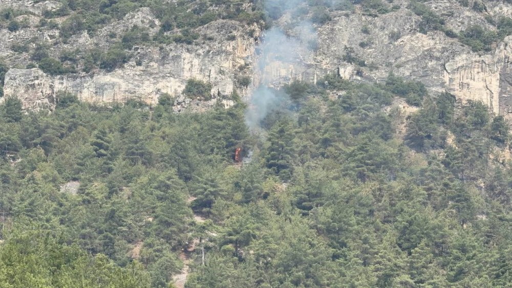 Orman Yangınında Alevler Yeniden Etkili Olmaya Başladı