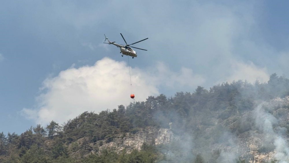 Orman Yangınında Alevler Yeniden Etkili Olmaya Başladı
