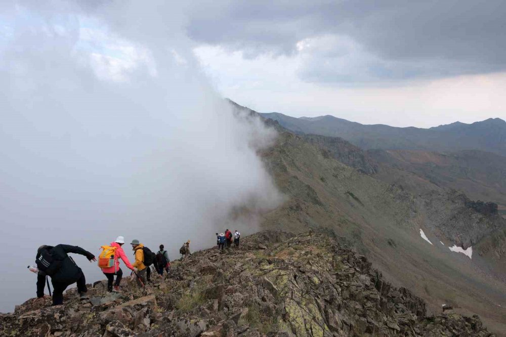 Gümüşhane’nin Zirvesinde "ormanları Koru" Mesajı