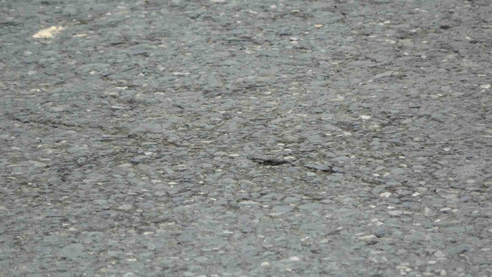 Yollara Karadeniz Dokunuşu: Çay Ve Fındık Asfaltla Buluşuyor