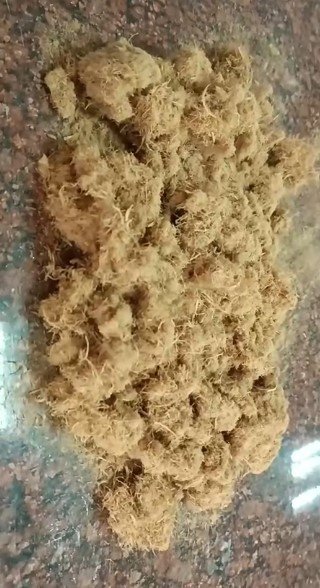 Yollara Karadeniz Dokunuşu: Çay Ve Fındık Asfaltla Buluşuyor