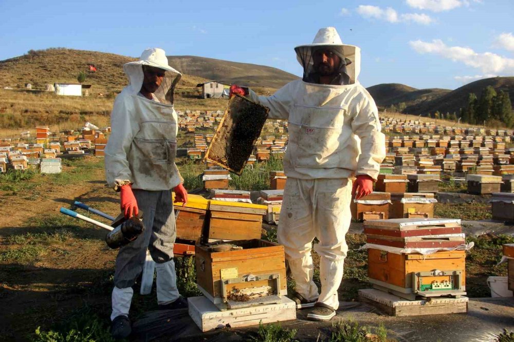 Bayburt’ta Bal Hasadı Sezonu Başladı