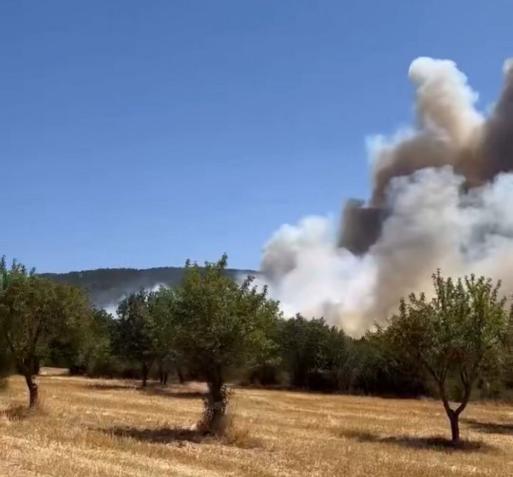 Bolu’da Orman Yangını Başladı