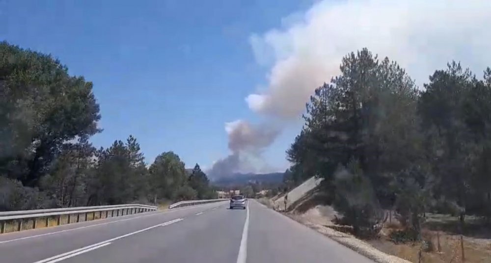 Bolu’da Orman Yangını Başladı