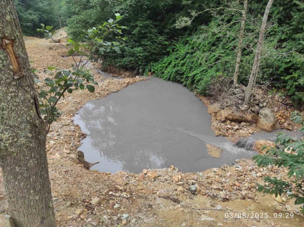 Maden Atıkları Dereyi Kirletiyor, Doğal Yaşamı Tehdit Ediyor