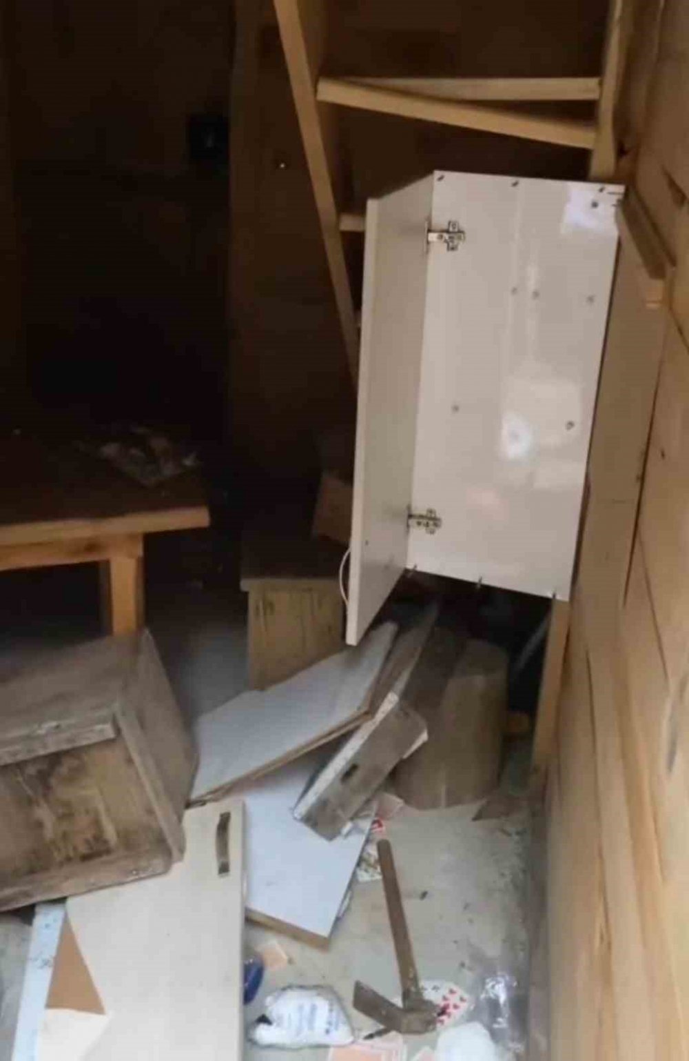 Rize’de Aç Kalan Ayılar Bungalovlara Girdi