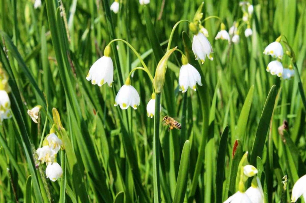 Çevre Kanunu’na Uymayan 16 Kişiye 4,6 Milyon Tl Ceza