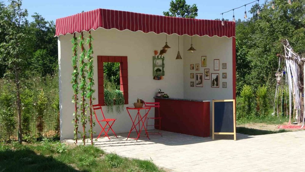 Kafa Kafaya Verdiler, Doğu Karadeniz’in En Büyük Fotoğraf Çekim Platosunu Kurdular