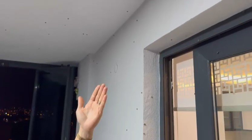 Rize’de Bahçelerden Sonra Evlerde "Vampir Kelebek" İstilası