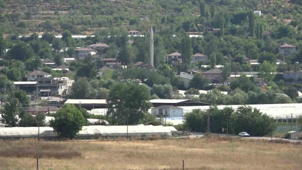 Amasyalı Çiftçiden Aç Kalan Tilkilere Pasta, Kirpilere Fıstık