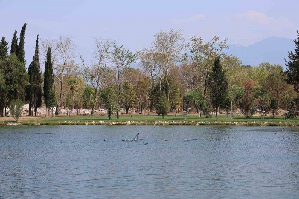 Kalp Şeklindeki Gölden 20 Bin Ton Çamur Çıkarıldı