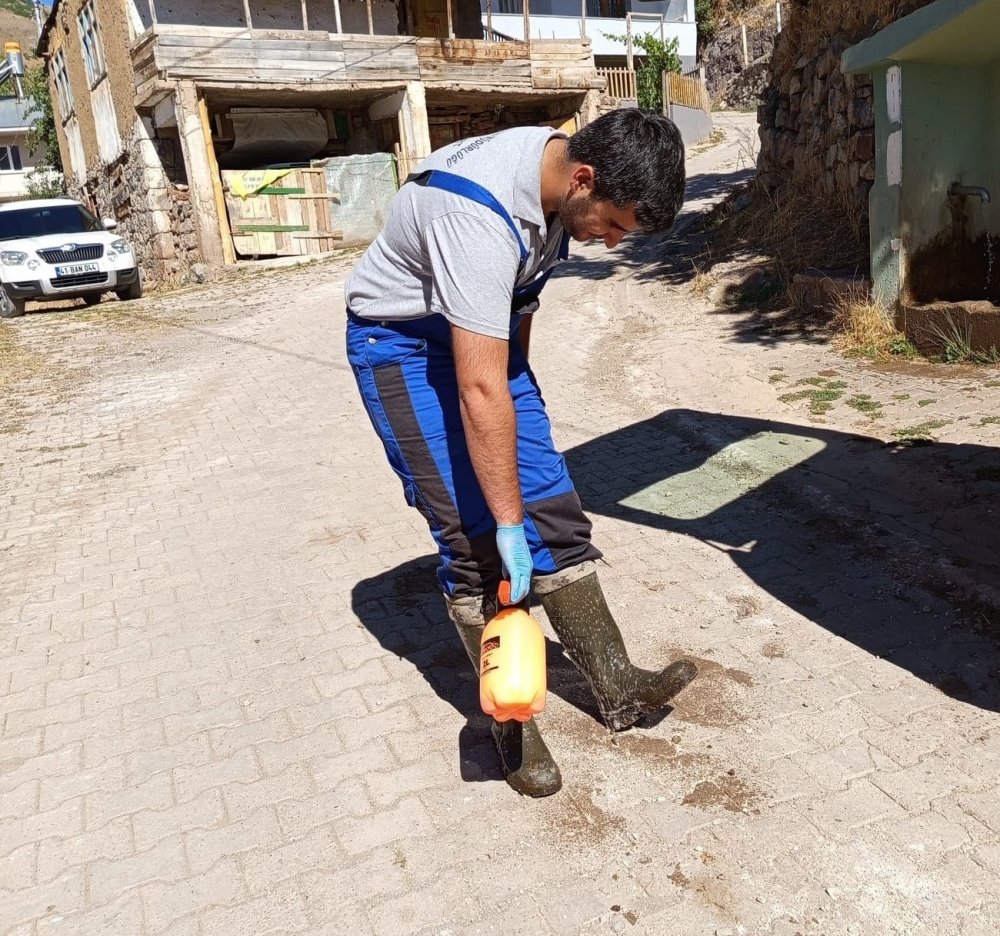 Aydıntepe’de De Sonbahar Dönemi Şap Aşılama Kampanyası Başladı