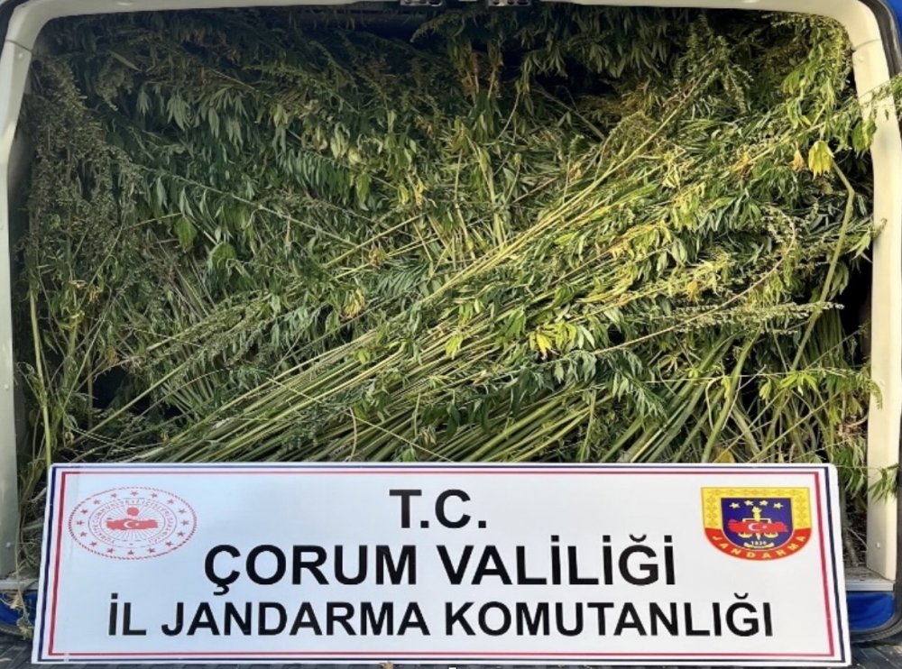 Çorum’da Jandarmadan Uyuşturucu Operasyonu: 2 Tutuklama