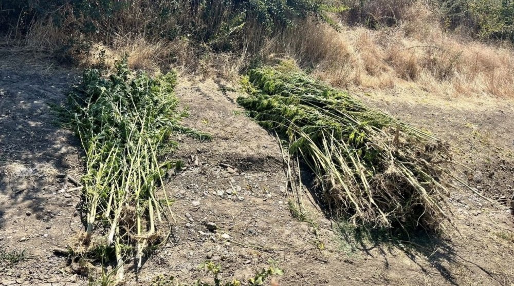 Çorum’da Jandarmadan Uyuşturucu Operasyonu: 2 Tutuklama