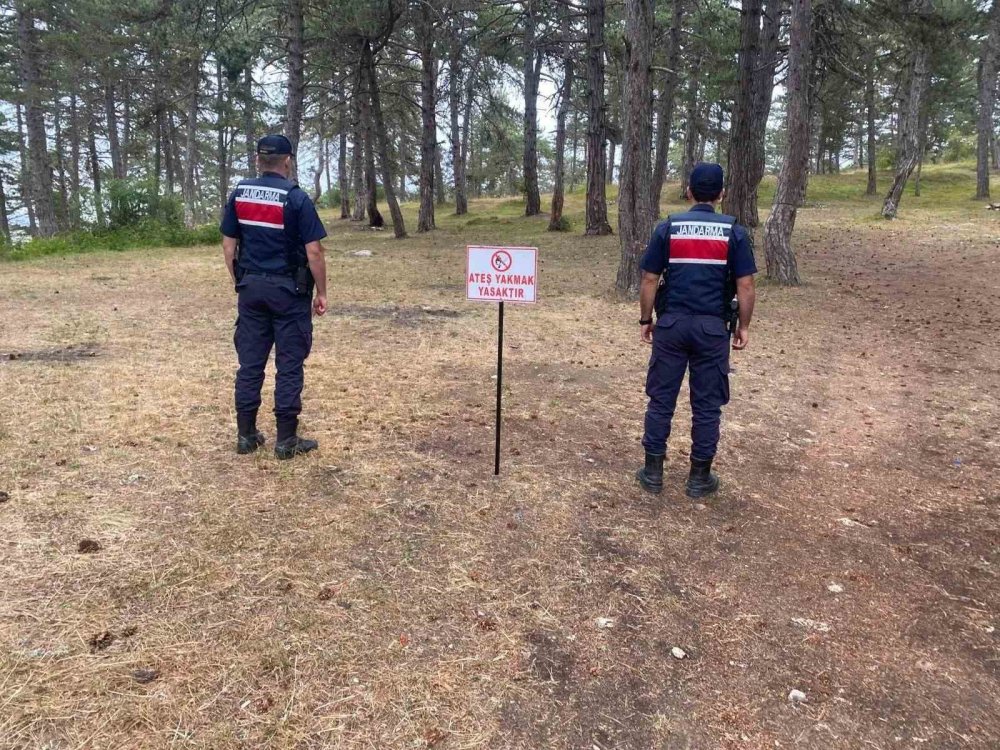 Sinop’ta Ormanlık Alanda Ateş Yakanlara Ceza Yağdı