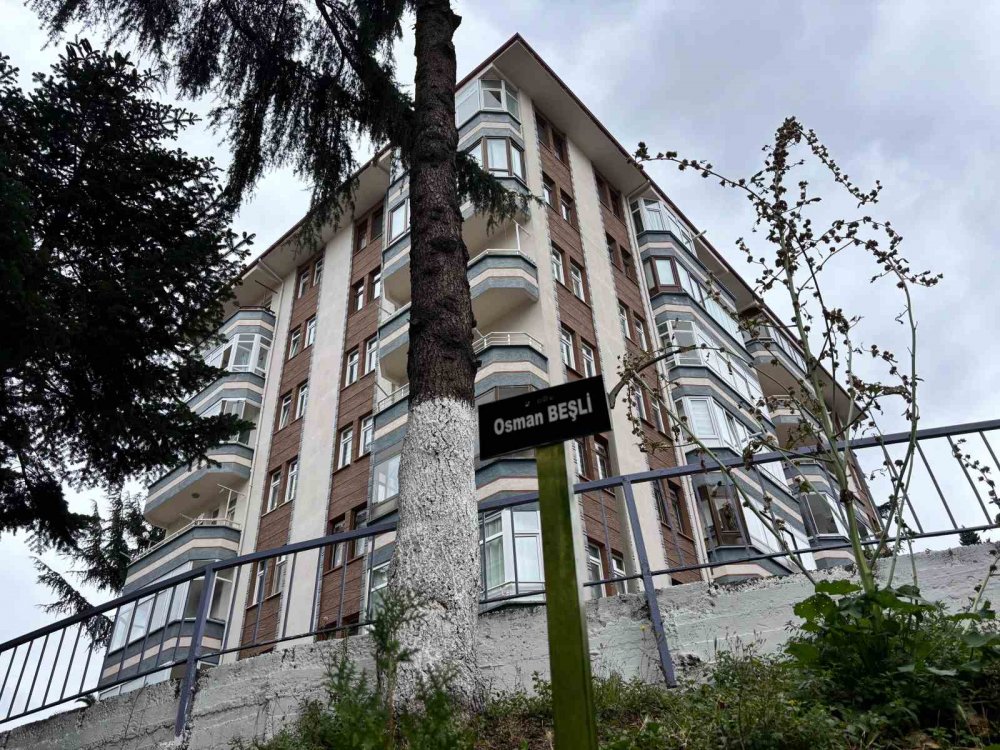 Hatıra Ormanı Değil Site Bahçesi