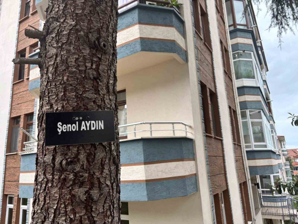 Hatıra Ormanı Değil Site Bahçesi