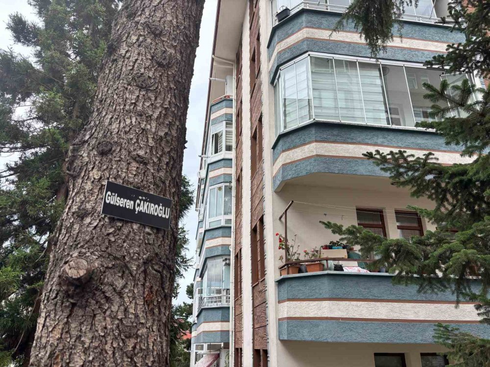 Hatıra Ormanı Değil Site Bahçesi