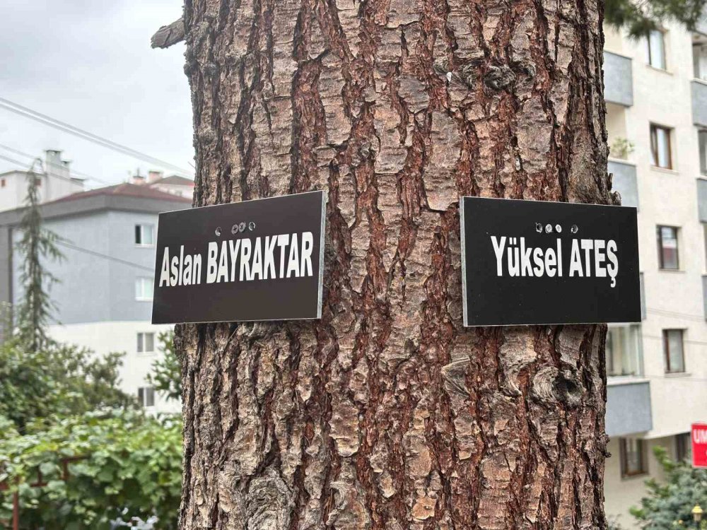 Hatıra Ormanı Değil Site Bahçesi