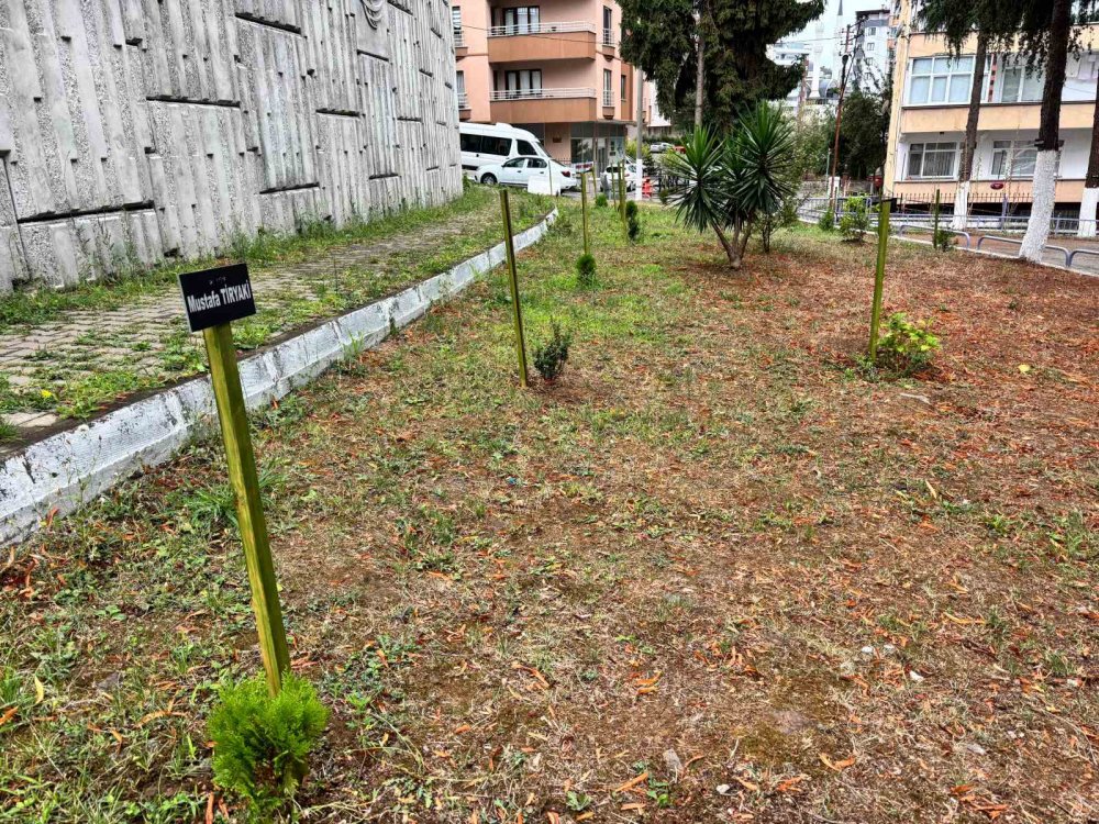 Hatıra Ormanı Değil Site Bahçesi