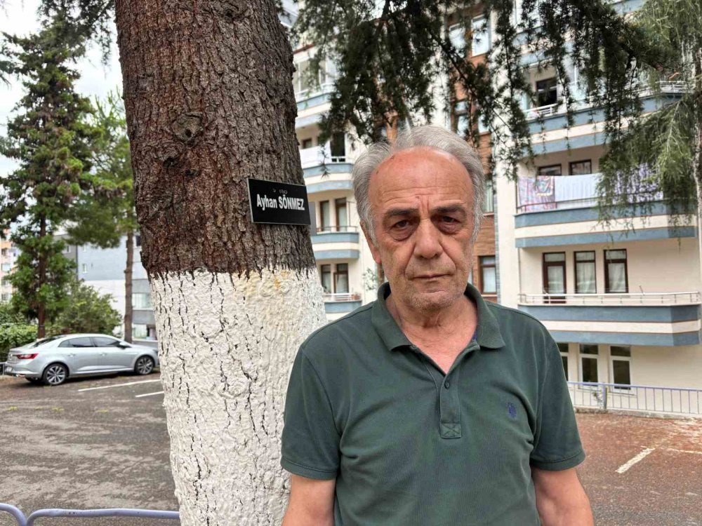 Hatıra Ormanı Değil Site Bahçesi