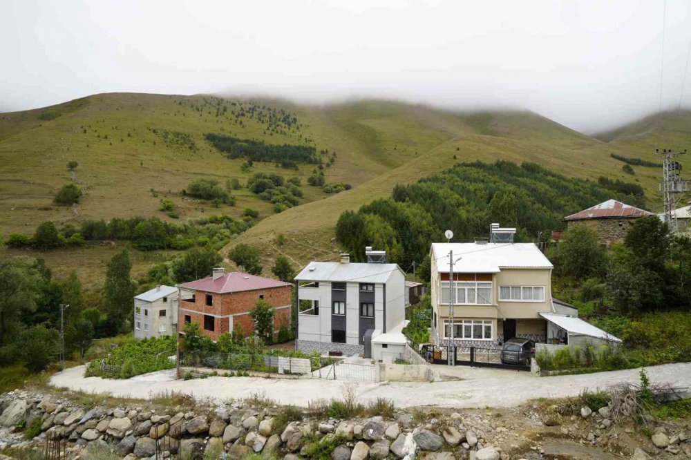 Gümüşhane’de Emekli İmam Kendi İmkânlarıyla Köyüne 50 Bin Ağaç Dikti