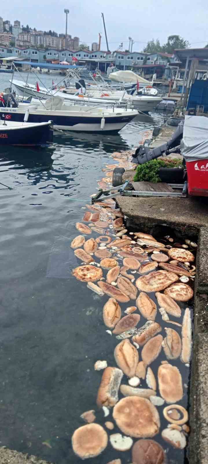 Rize’de ekmek ve simitlerin denize dökülmesine tepki