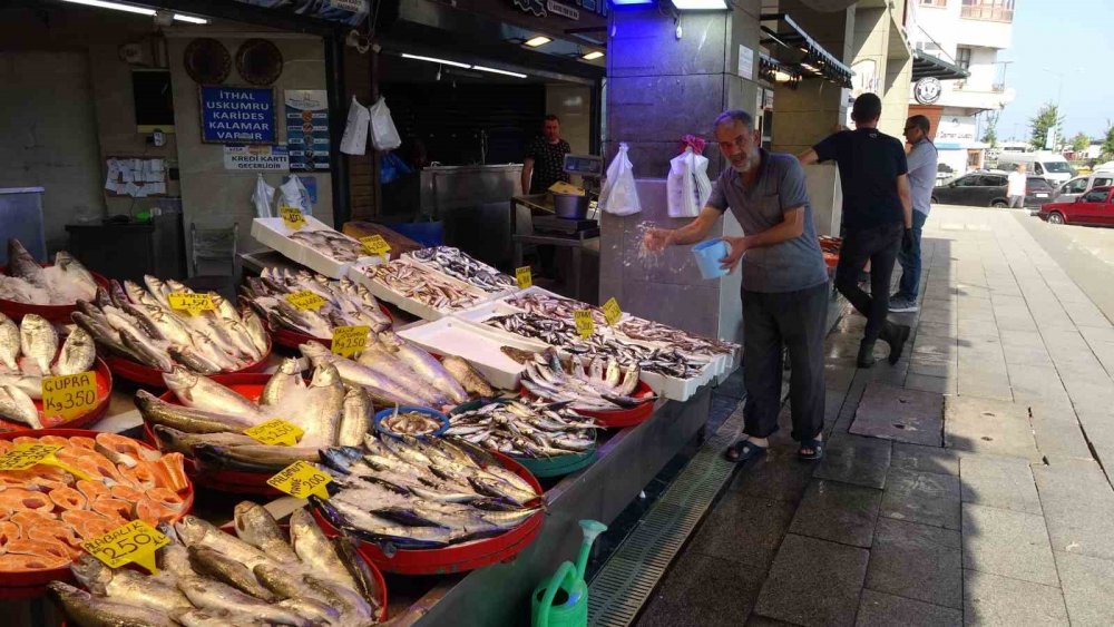 Denizlerde av sezonu başladı: Tezgahlar istavrit ile doldu