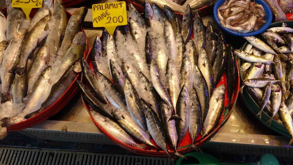 Denizlerde av sezonu başladı: Tezgahlar istavrit ile doldu