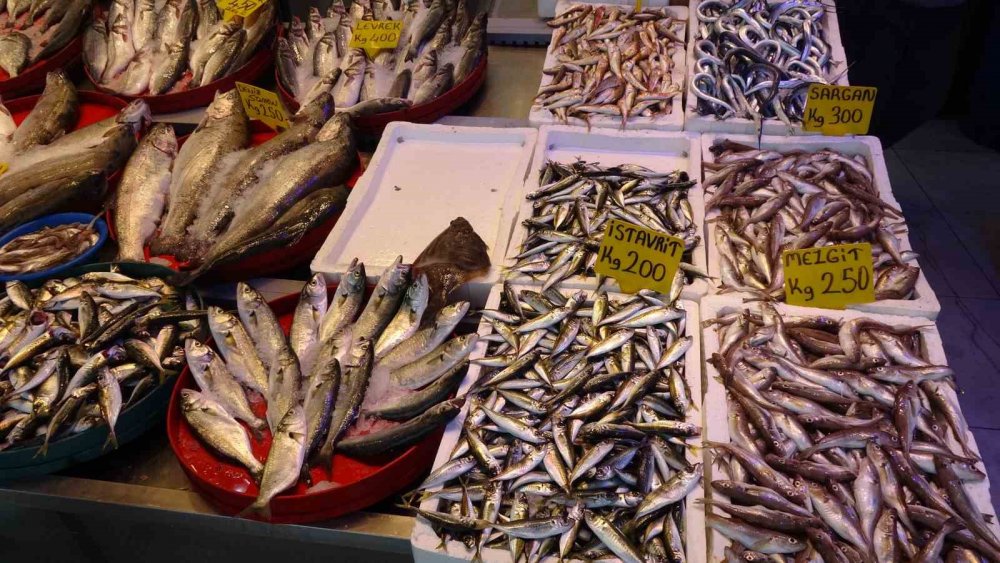 Denizlerde av sezonu başladı: Tezgahlar istavrit ile doldu