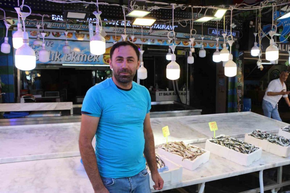 Av sezonunun ilk günü palamut çıkmadı, tezgahlar istavrit ile doldu