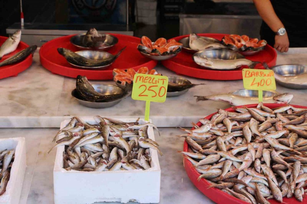 Av sezonunun ilk günü palamut çıkmadı, tezgahlar istavrit ile doldu