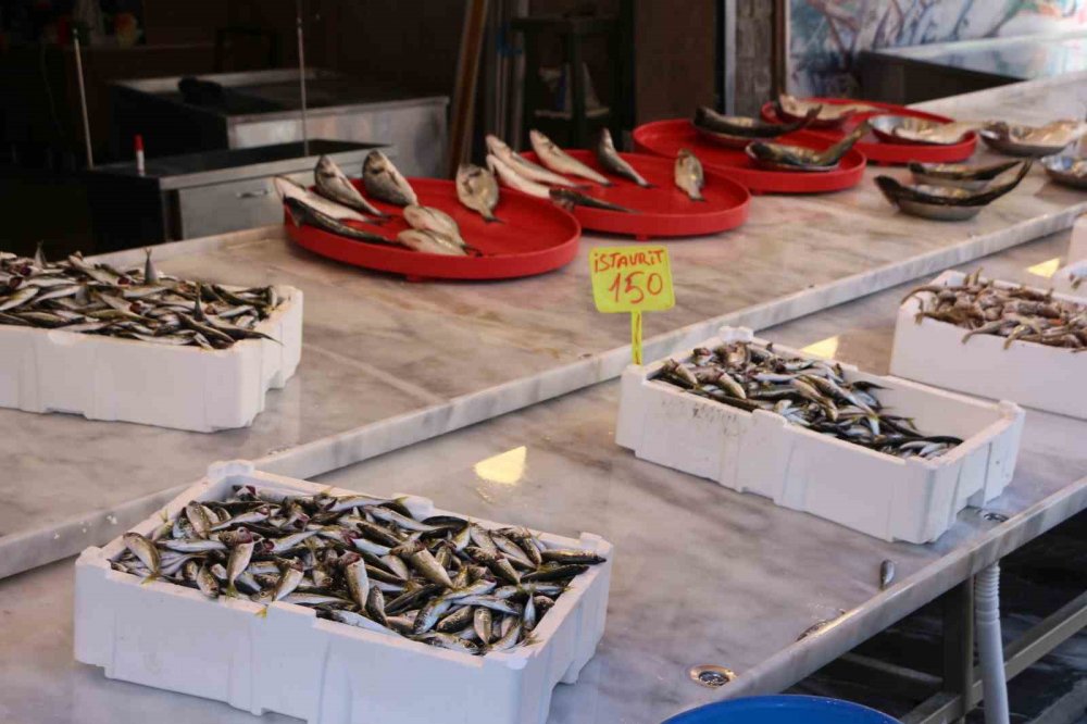 Av sezonunun ilk günü palamut çıkmadı, tezgahlar istavrit ile doldu