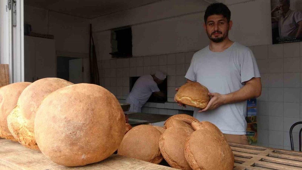 Abacıbükü Ekmeği’nin Sırrı Fırınında Ve Fındık Kabuğunda