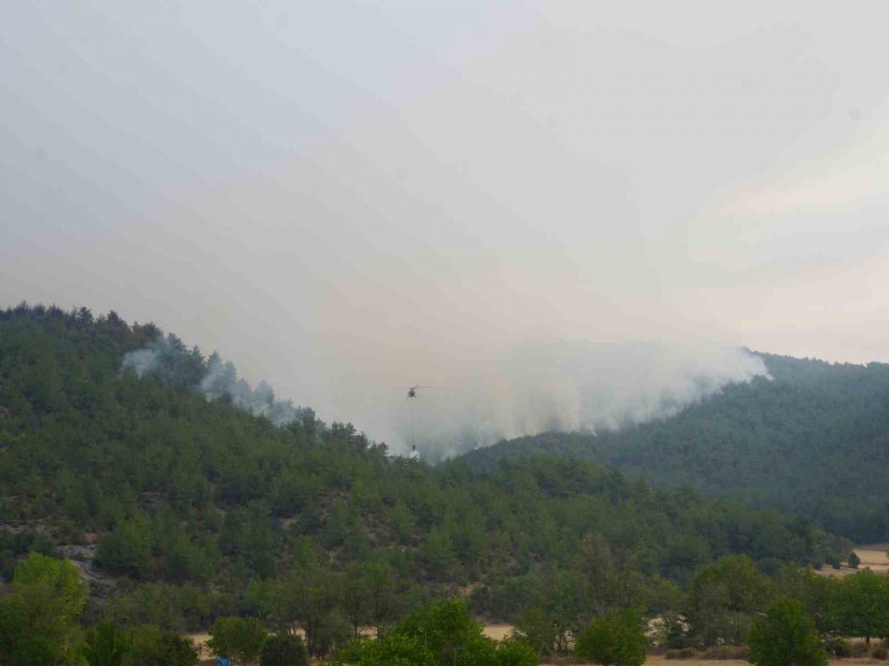 Kastamonu Orman Yangınları Üçüncü Gününde